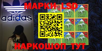 дживик Новозыбков