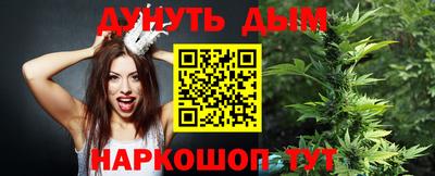 дживик Новозыбков