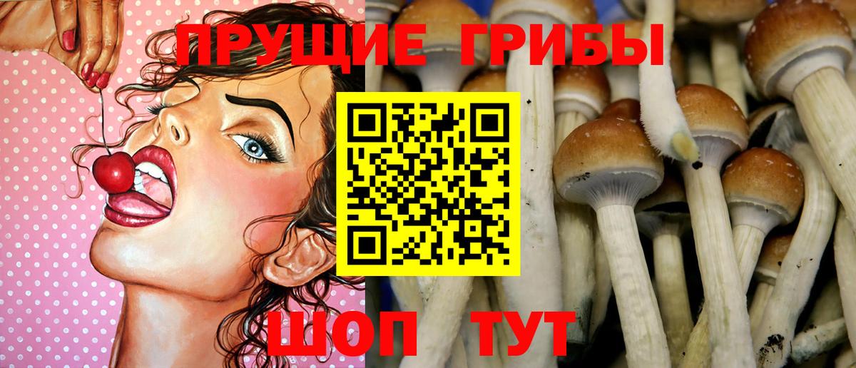 Ртищево  Галлюциногенные грибы Psilocybine cubensis  где купить наркоту  Вход с VPN  Галлюциногенные грибы Cubensis 